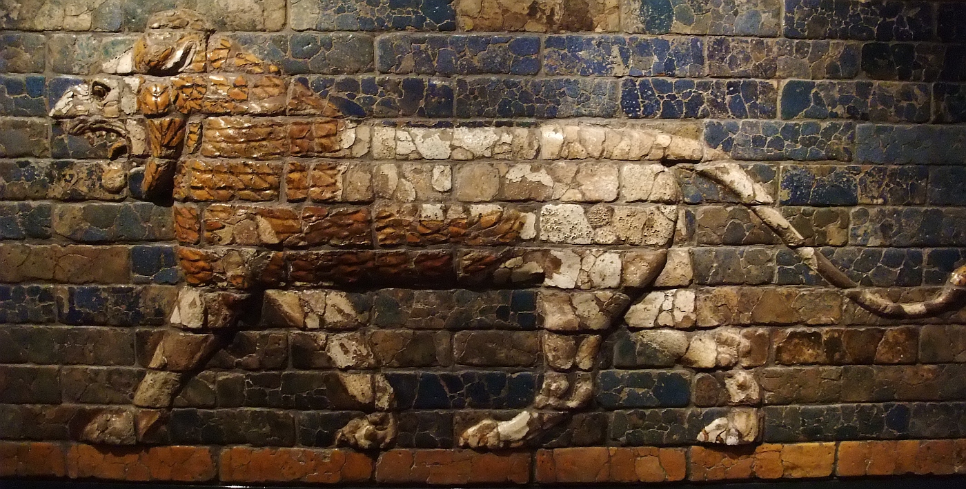 DSCF7954.JPG
