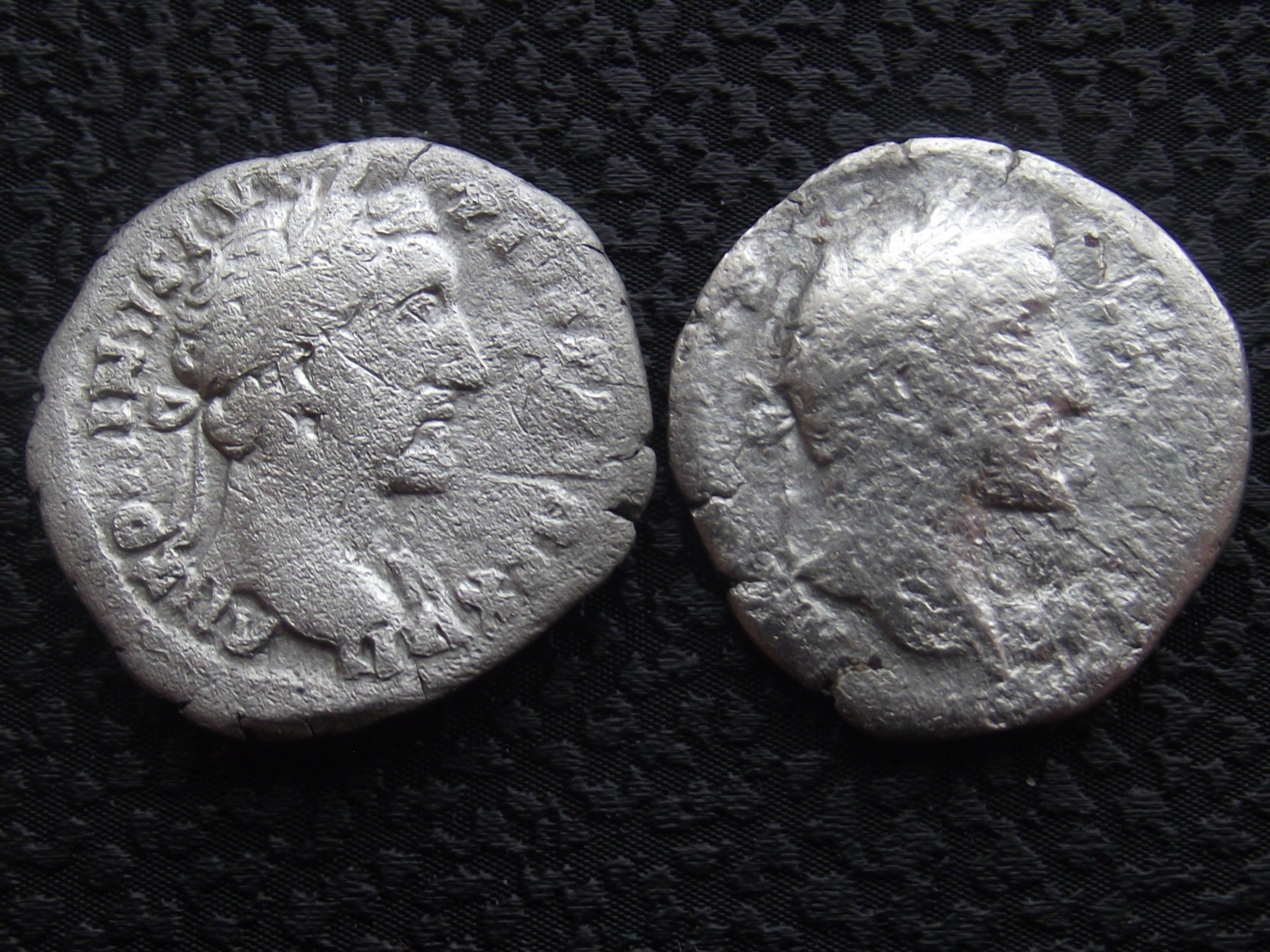 DSCF8719.JPG