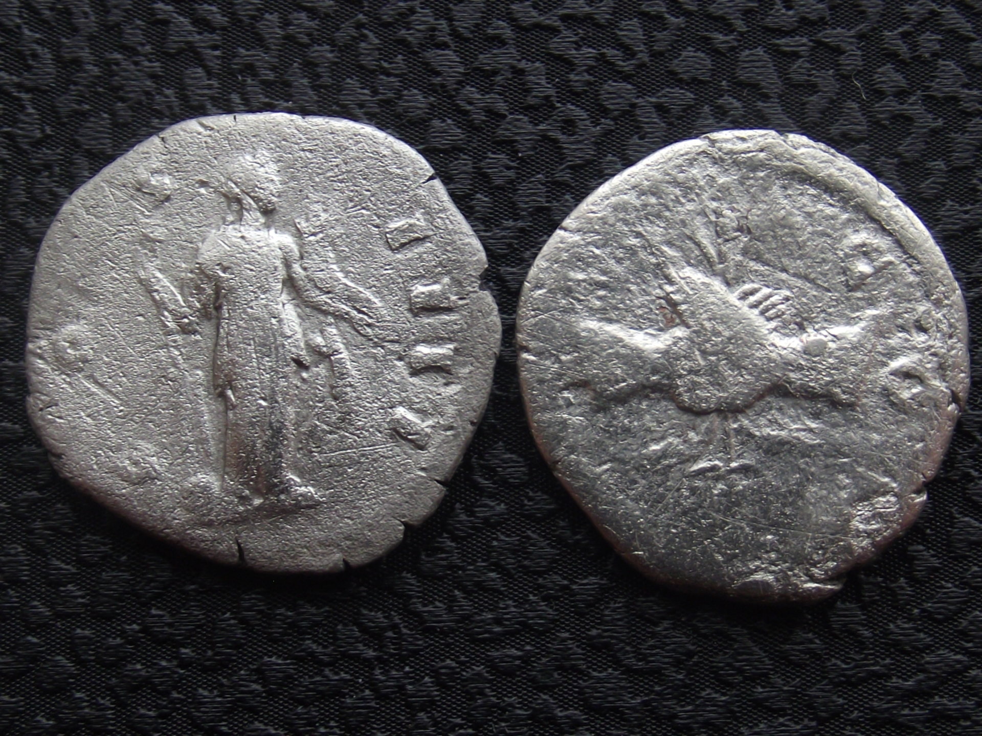 DSCF8720.JPG