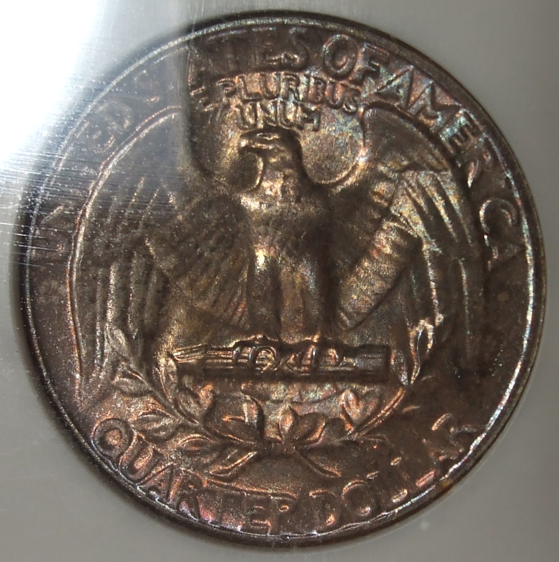 DSCF9040.JPG