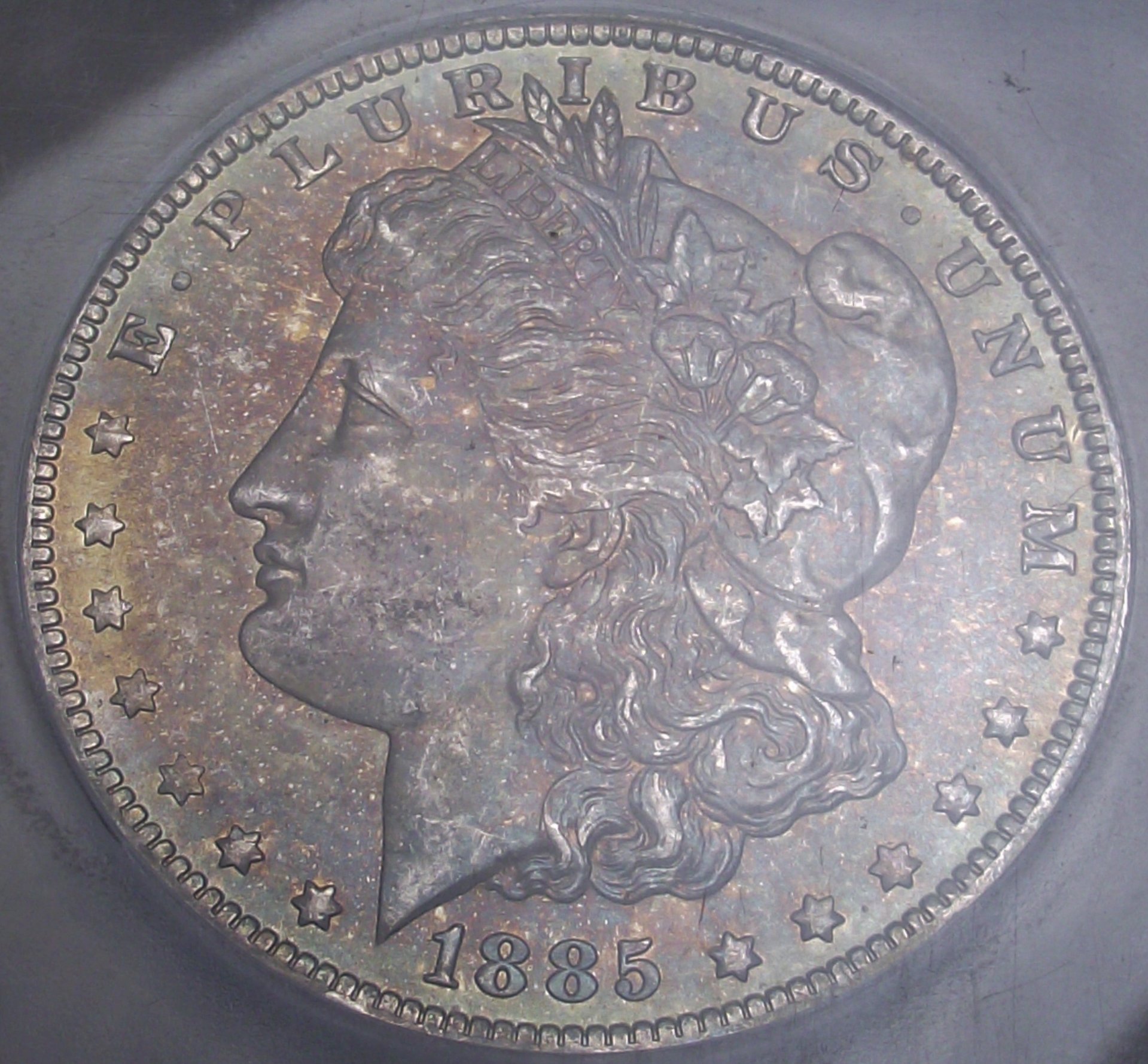 DSCF9112 (3).JPG