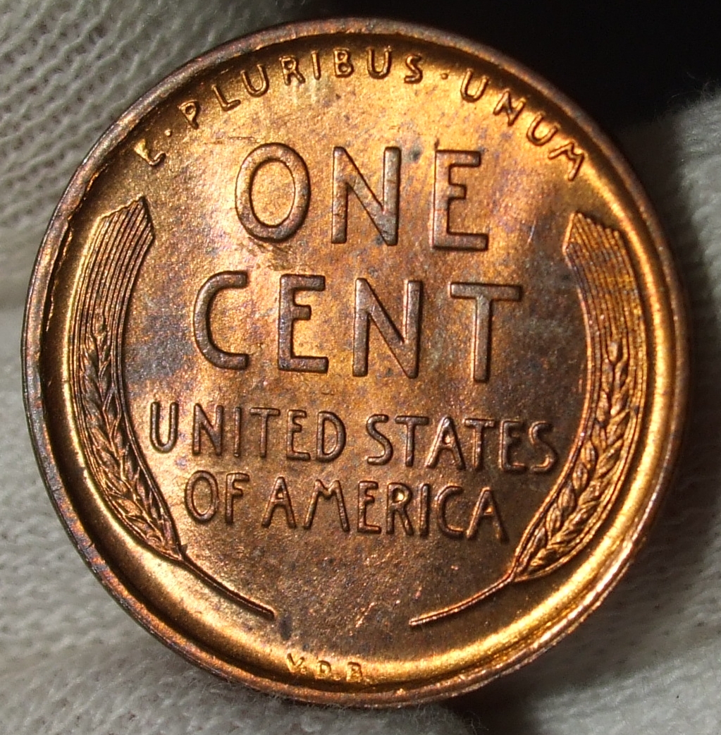 DSCF9115.JPG