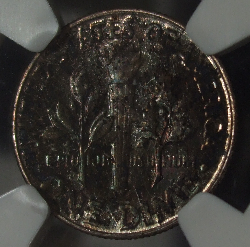 DSCF9462.JPG