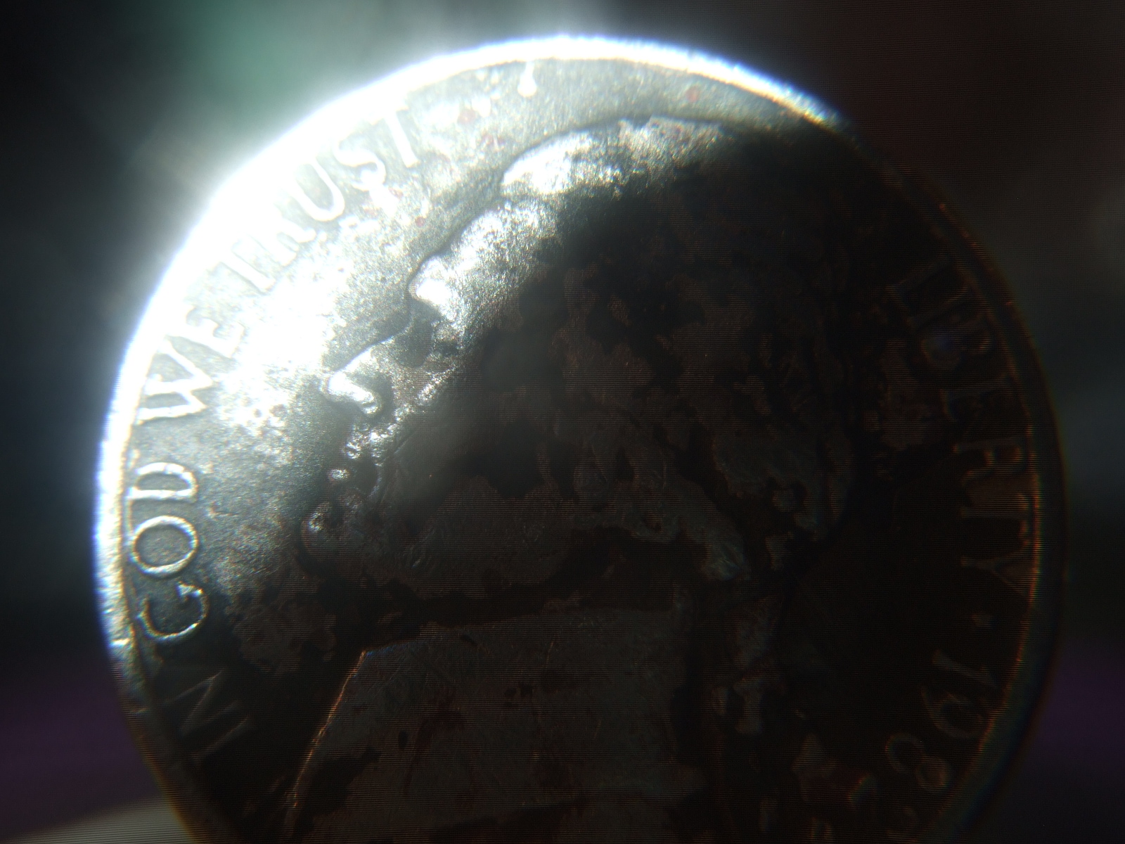 DSCF9500.JPG