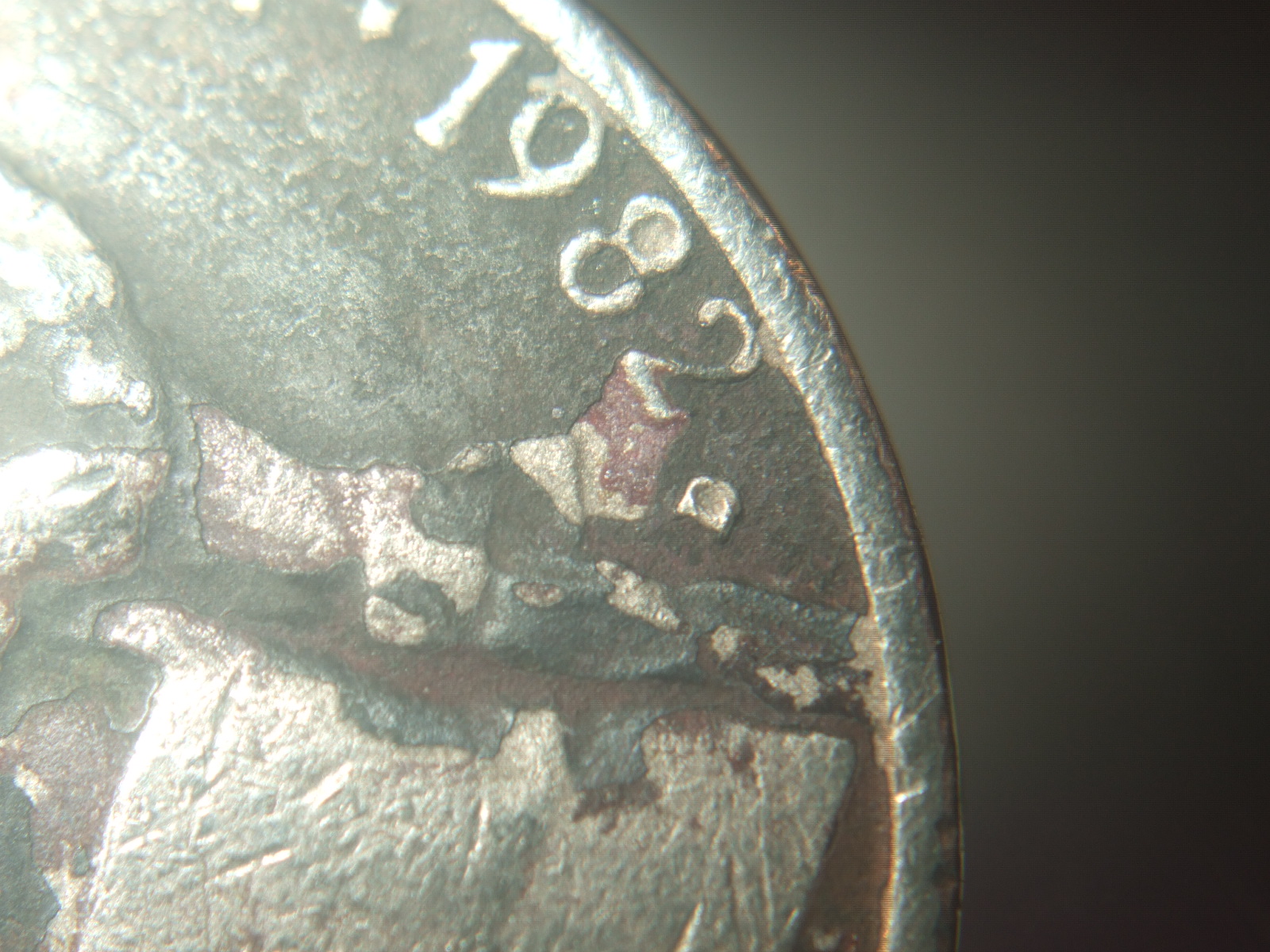 DSCF9515.JPG