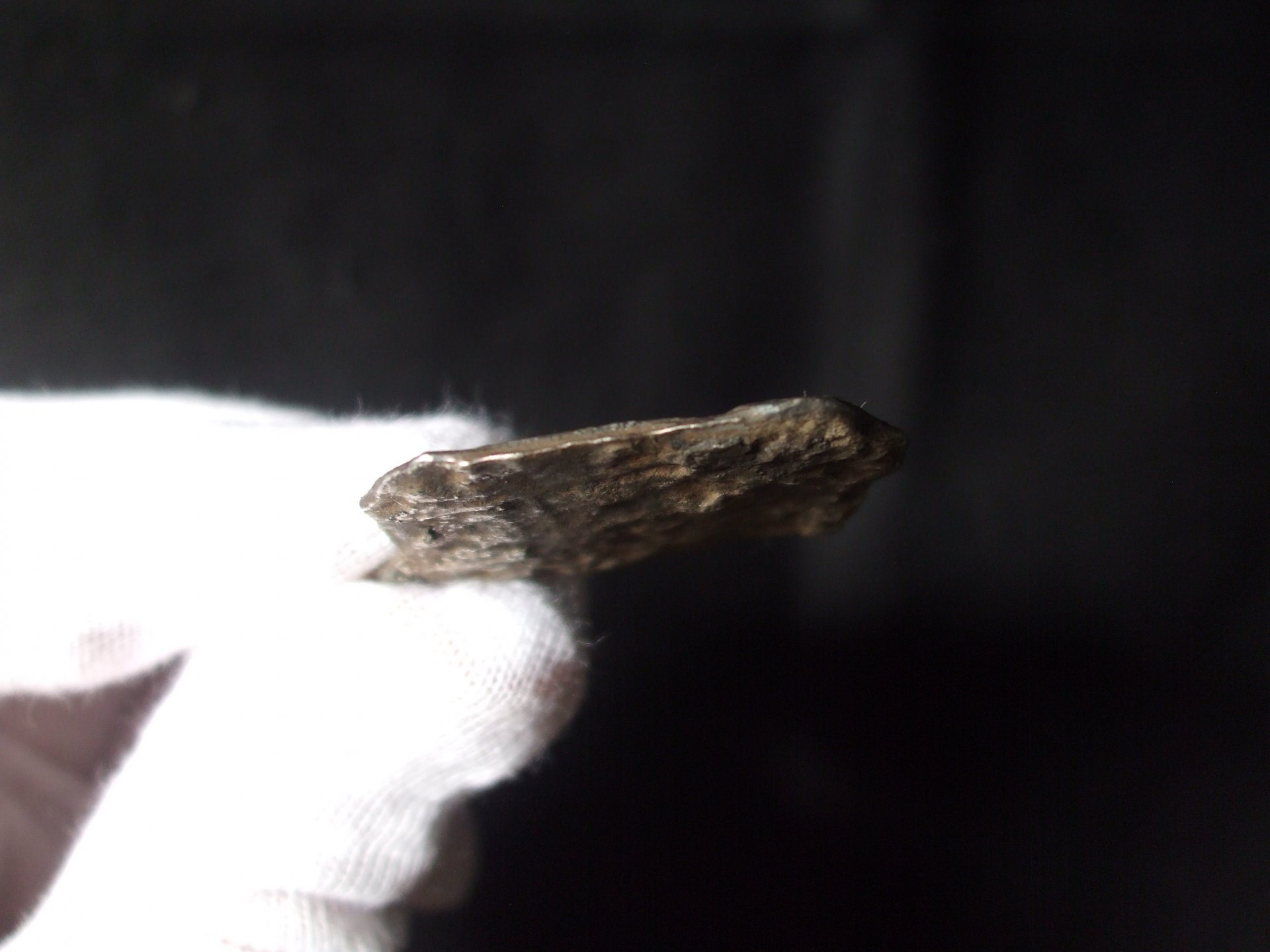 DSCF9560.JPG