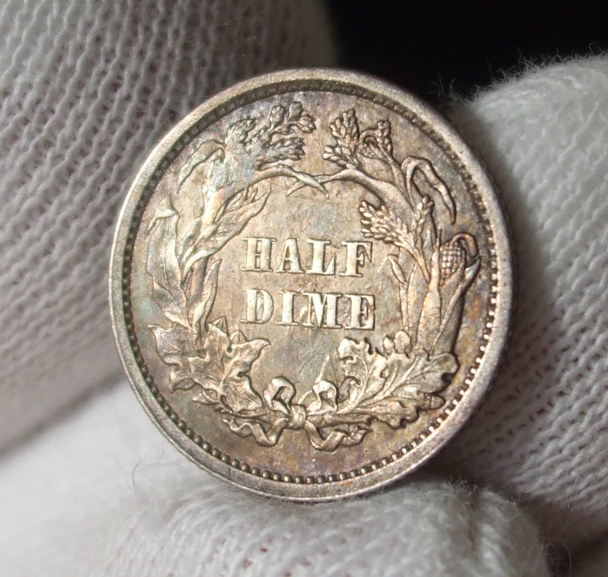DSCF9719.JPG