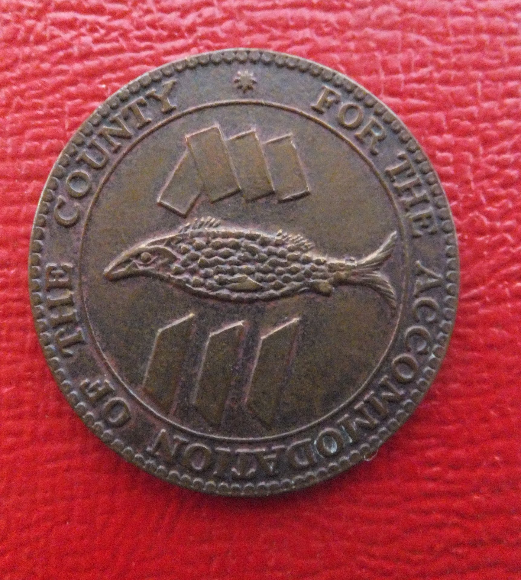 DSCF9876.JPG