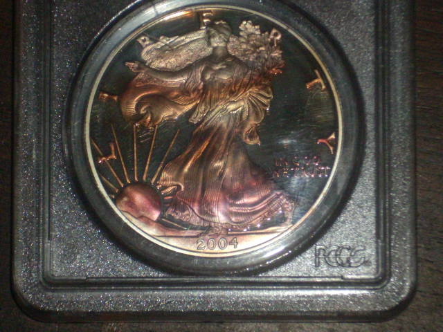 DSCI0823.JPG