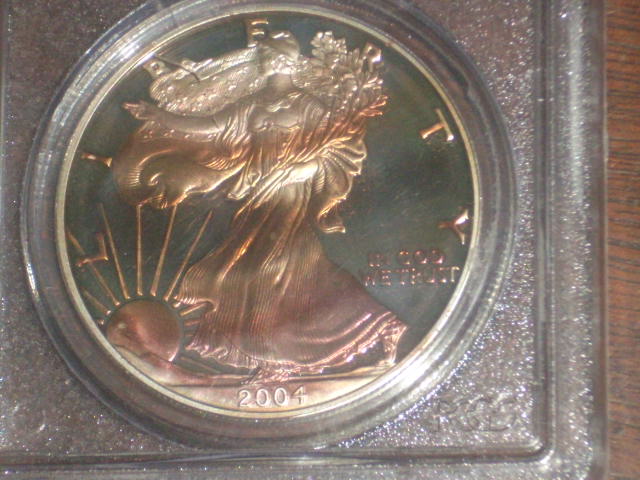 DSCI0826.JPG