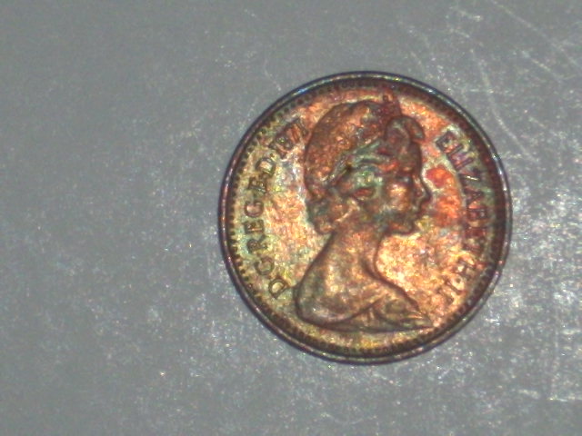 DSCI0925.JPG
