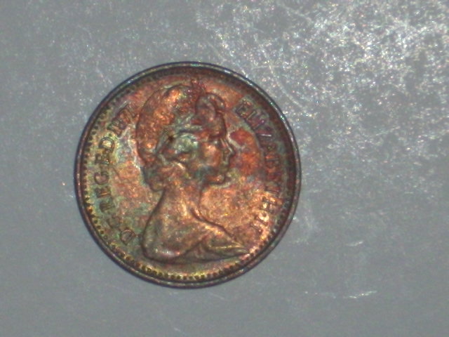 DSCI0926.JPG