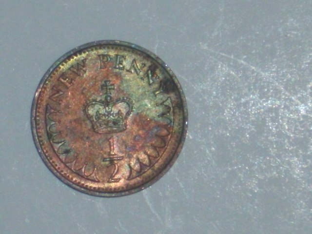 DSCI0930.JPG
