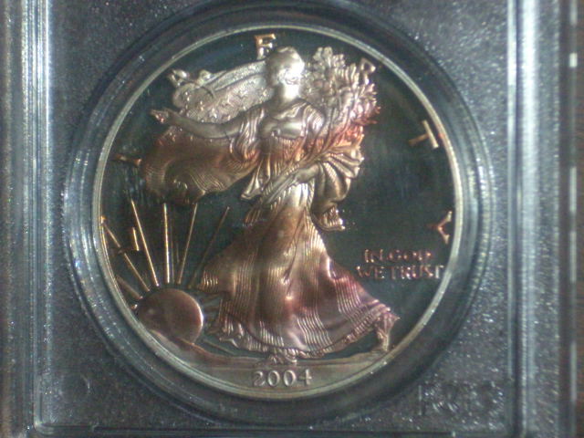 DSCI1706.JPG