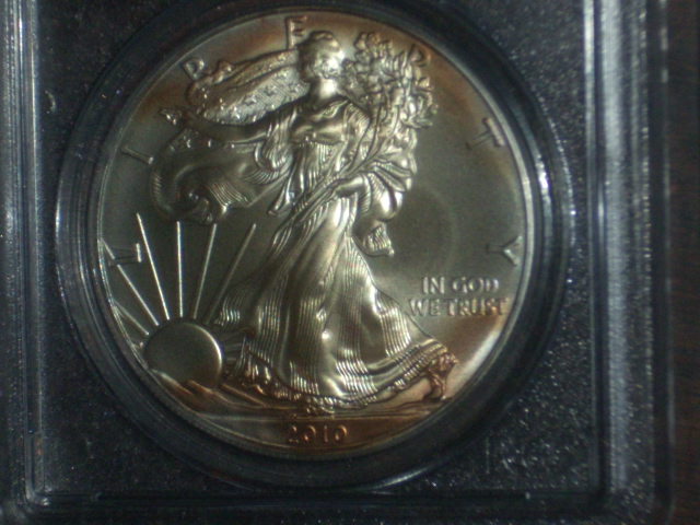 DSCI1707.JPG