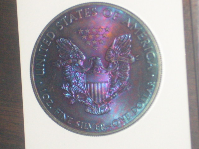 DSCI1712.JPG