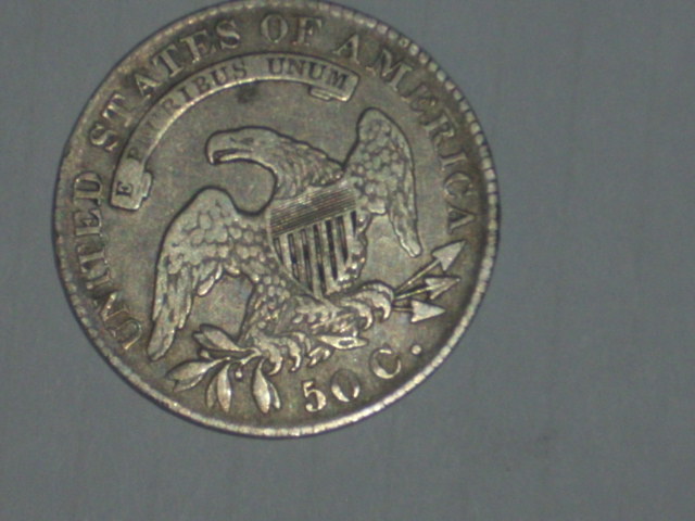DSCI8904.JPG
