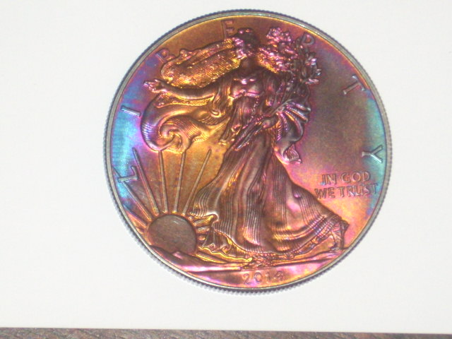 DSCI9204.JPG