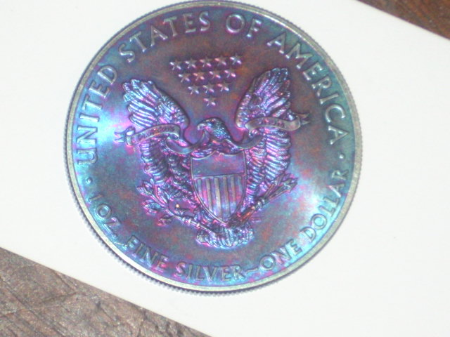 DSCI9206.JPG