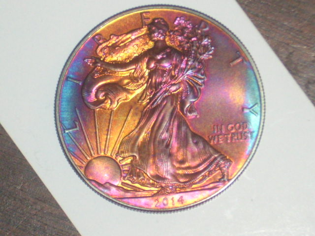 DSCI9213.JPG