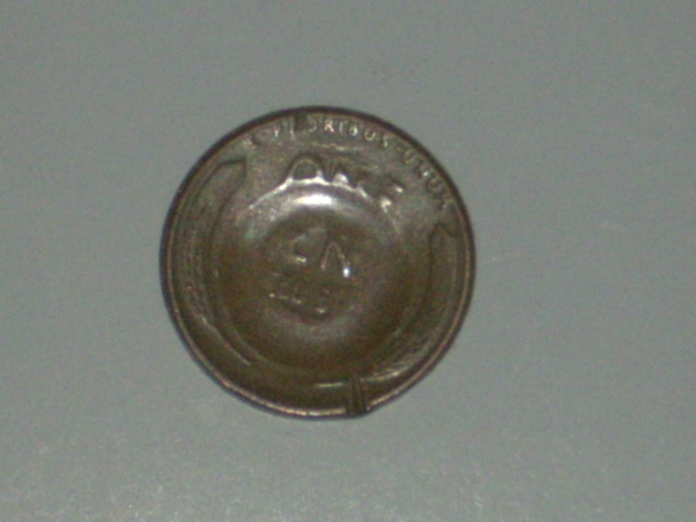 DSCI9359.JPG