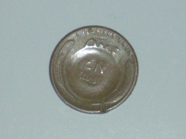 DSCI9361.JPG