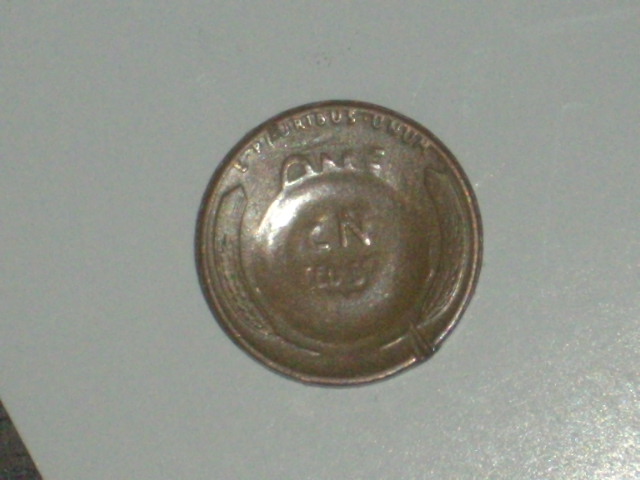 DSCI9369.JPG