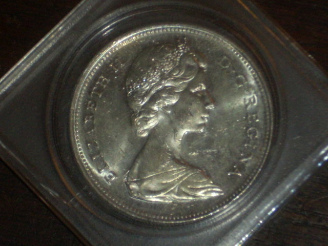 DSCI9459.JPG