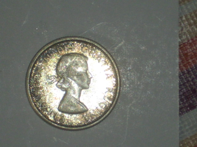 DSCI9526.JPG