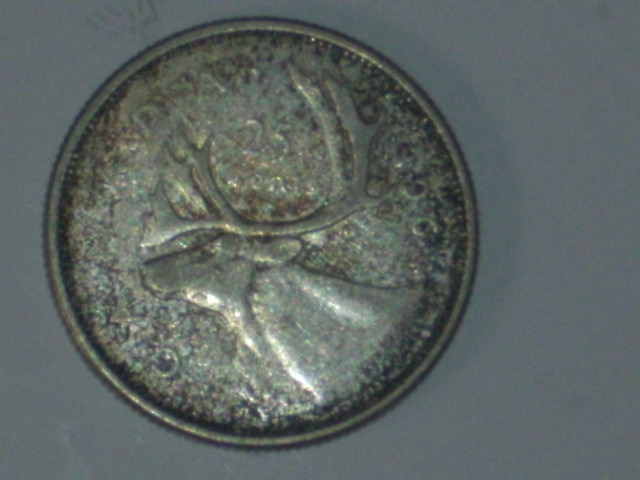 DSCI9535.JPG