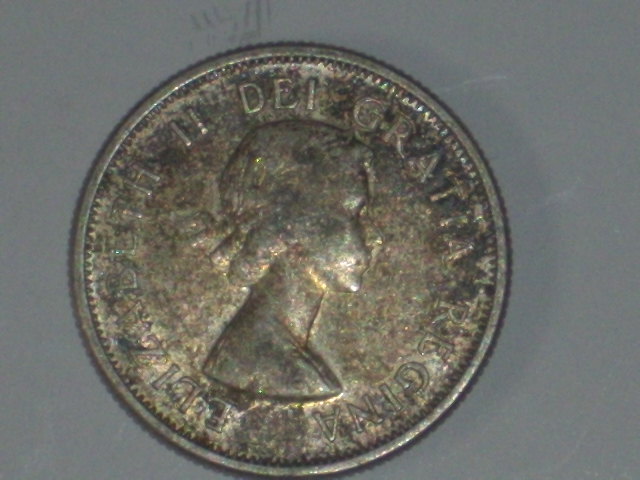 DSCI9551.JPG
