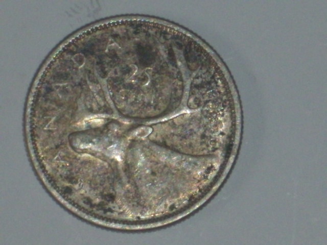 DSCI9560.JPG