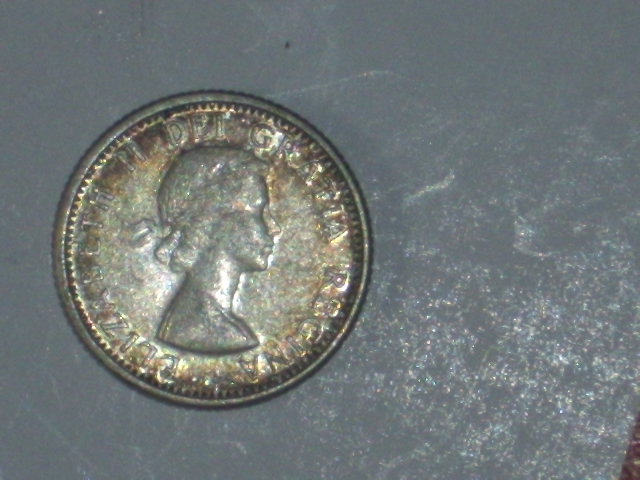 DSCI9561.JPG