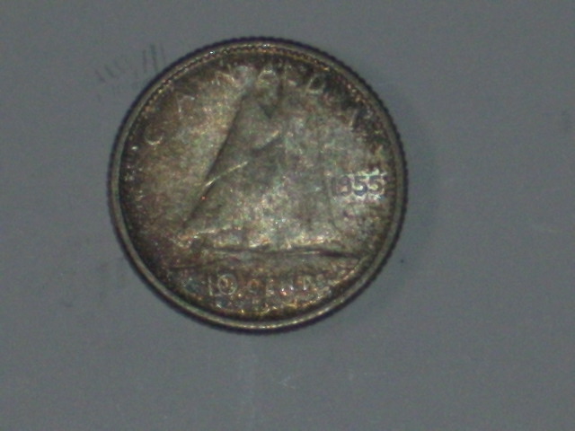 DSCI9565.JPG