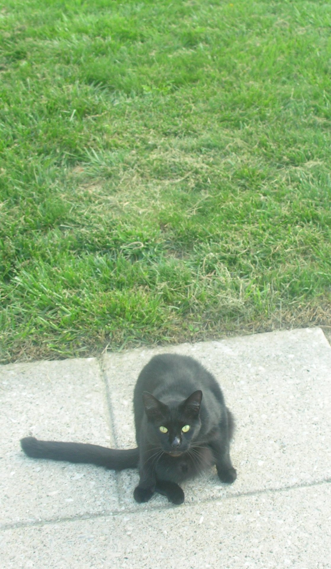 Dscn0105.jpg