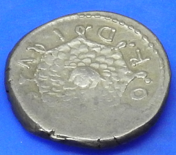 DSCN0130.JPG