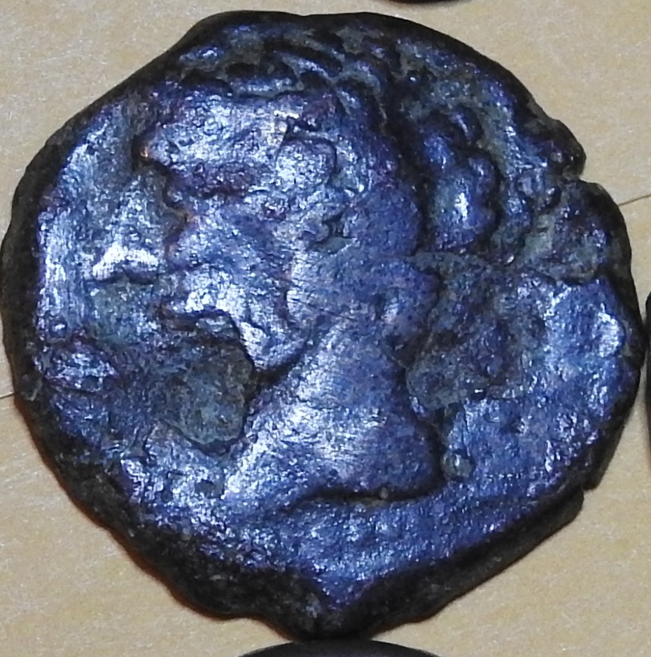 DSCN0188.JPG