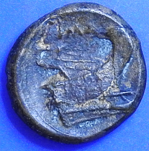 DSCN0221.JPG