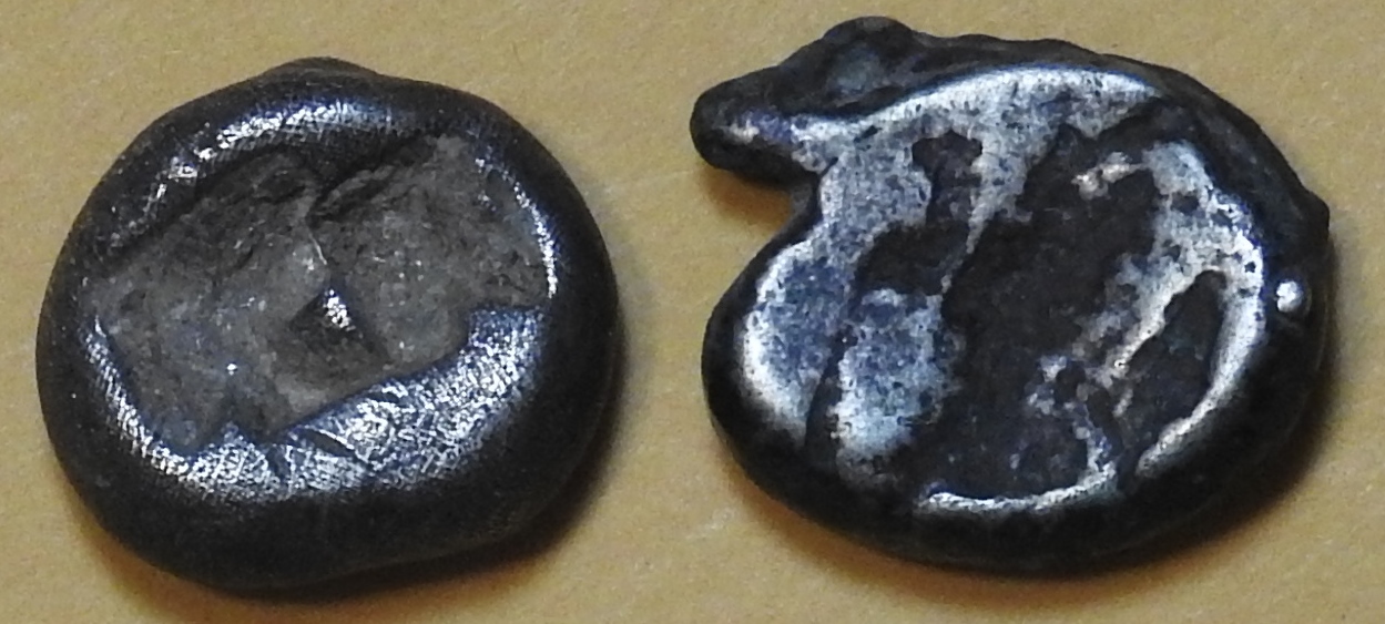 DSCN0242.JPG