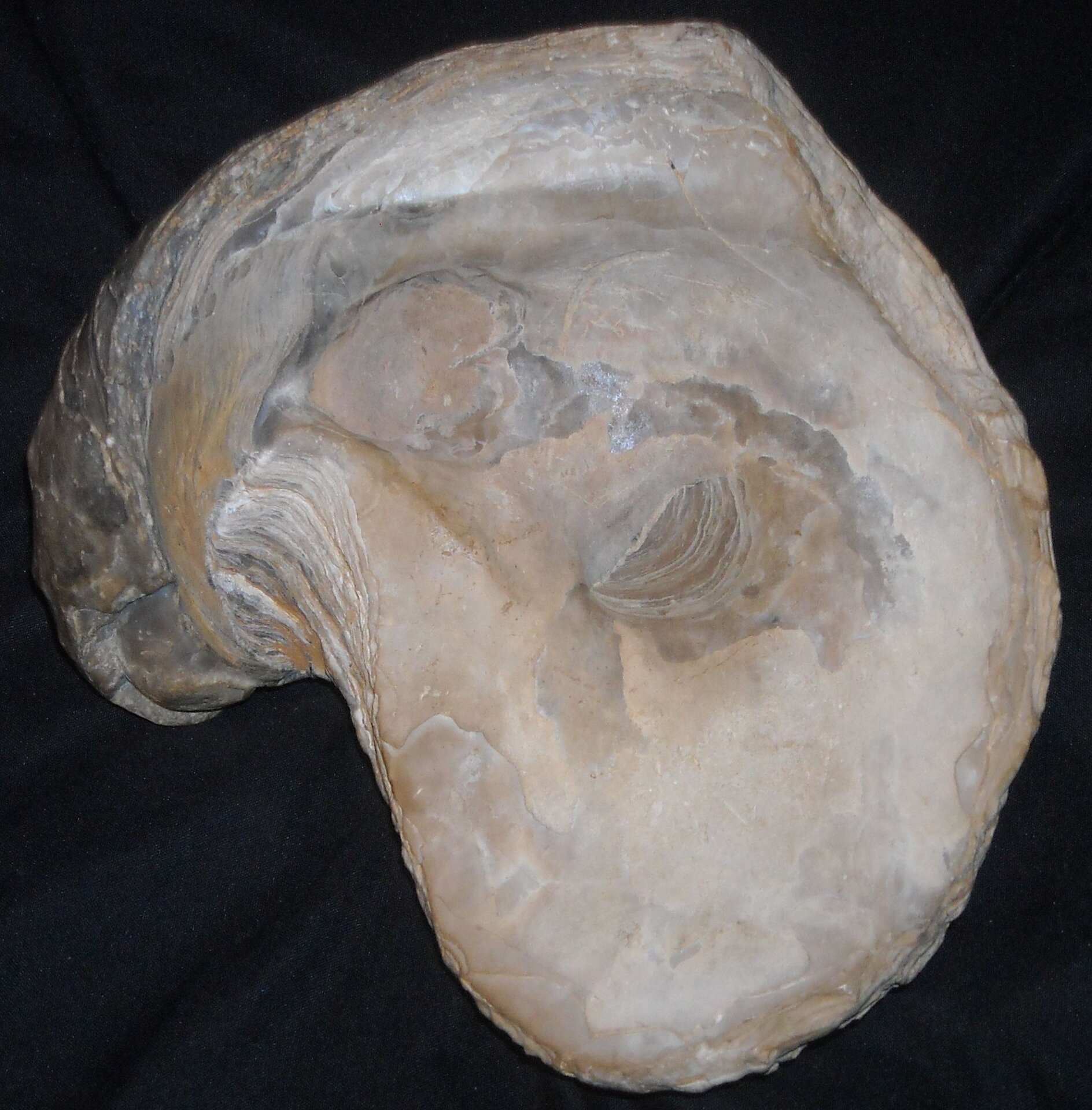 DSCN0377.JPG