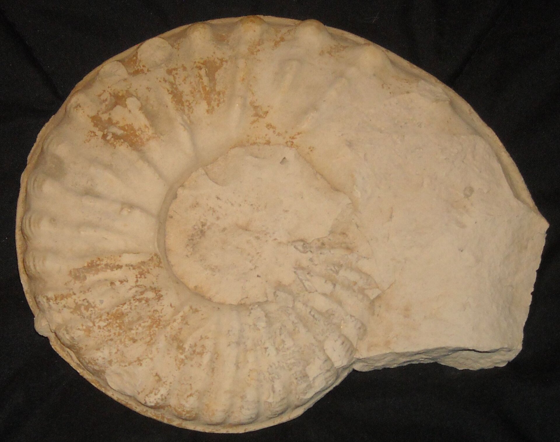DSCN0379.JPG