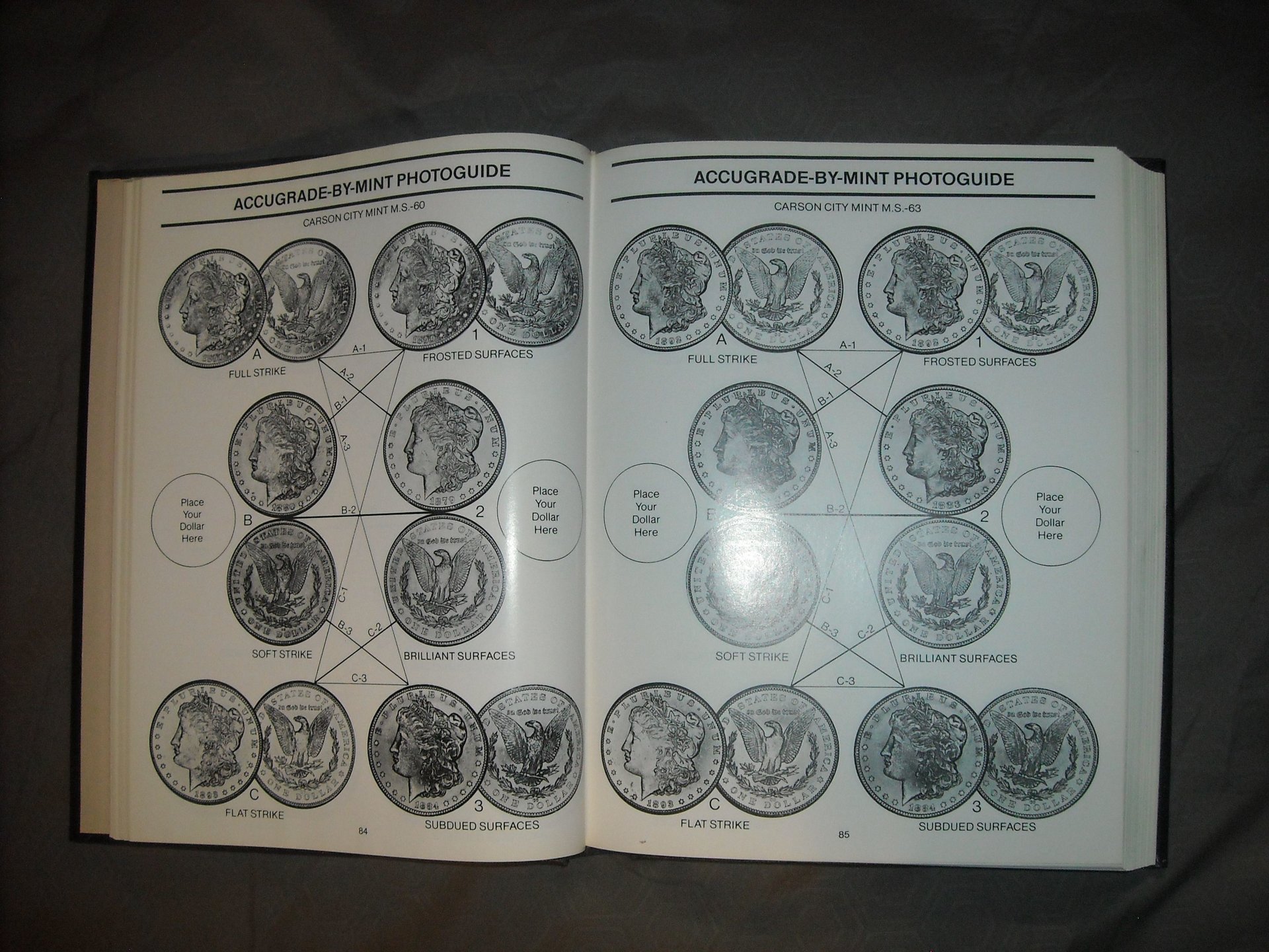 DSCN0383.JPG