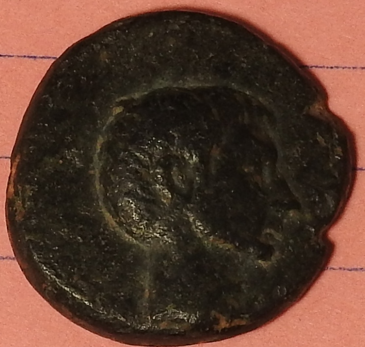 DSCN0465.JPG