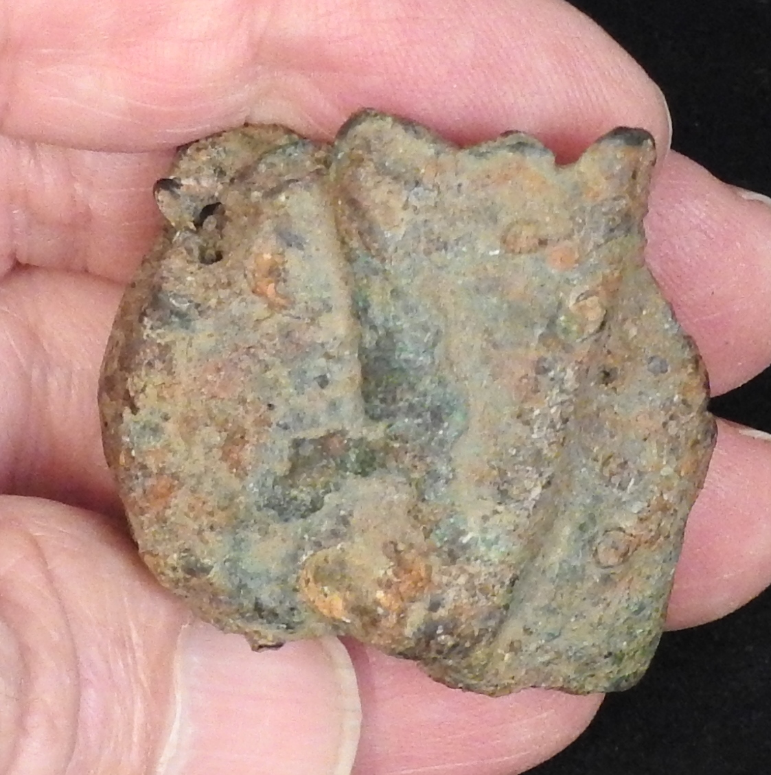 DSCN0483.JPG