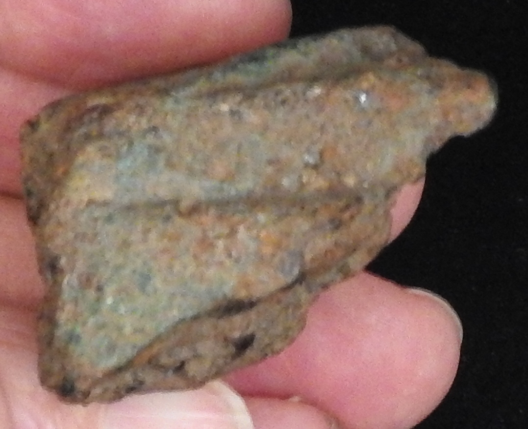 DSCN0488.JPG