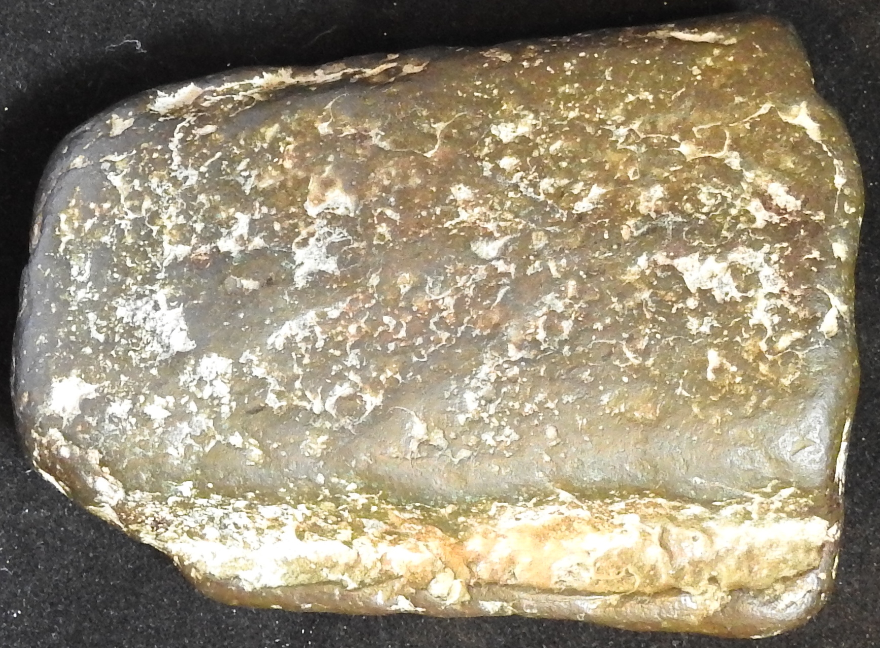DSCN0562.JPG