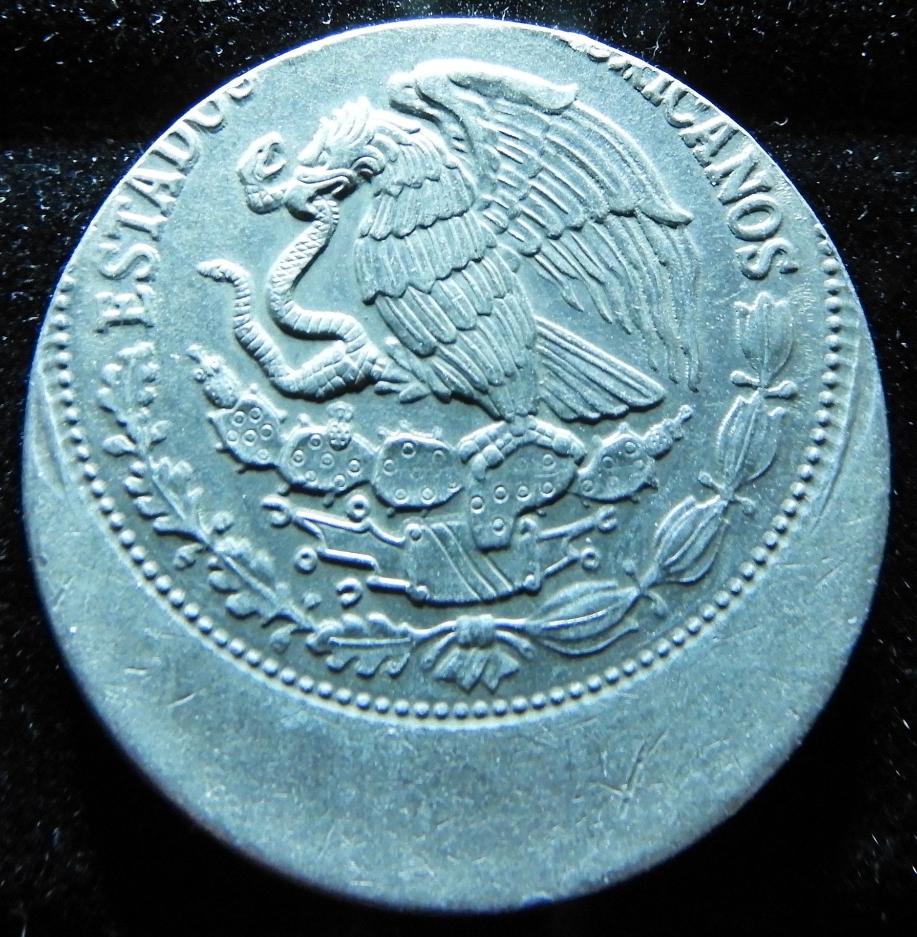 Dscn0570.jpg