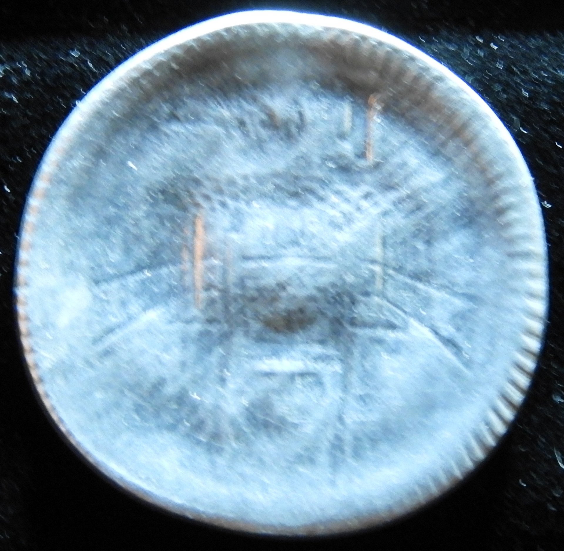 Dscn0572.jpg