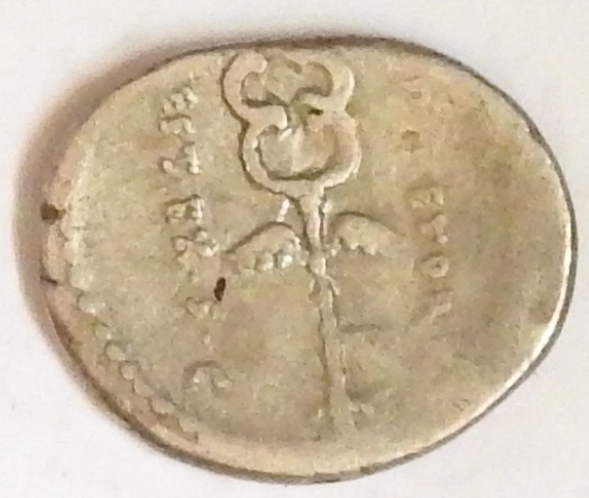 DSCN0589.JPG