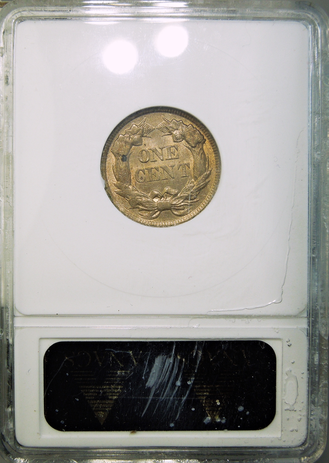 DSCN0629.JPG
